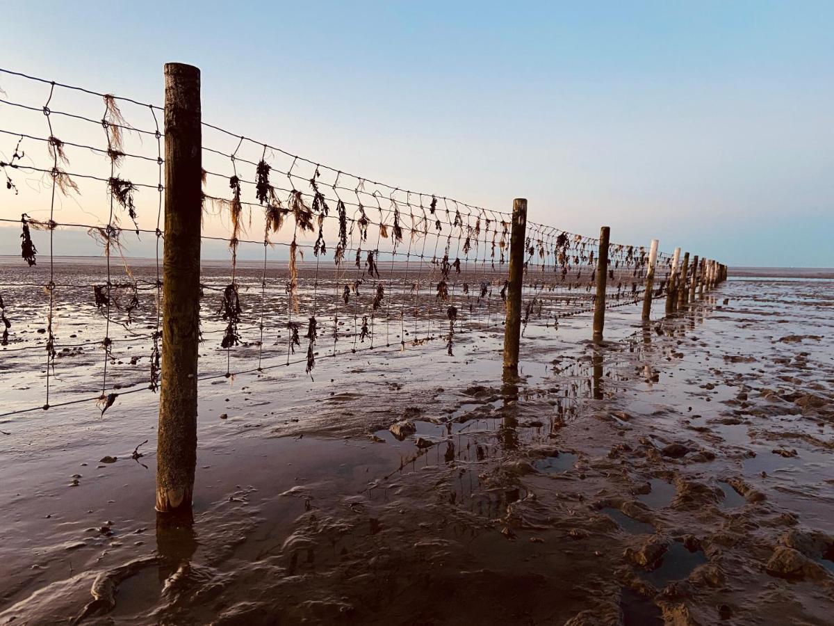 Ferien Im Wangerland Ferienwohnung Leuchtturm Minsen Schillig Hund Pool Sauna Norderaltendeich Exterior foto